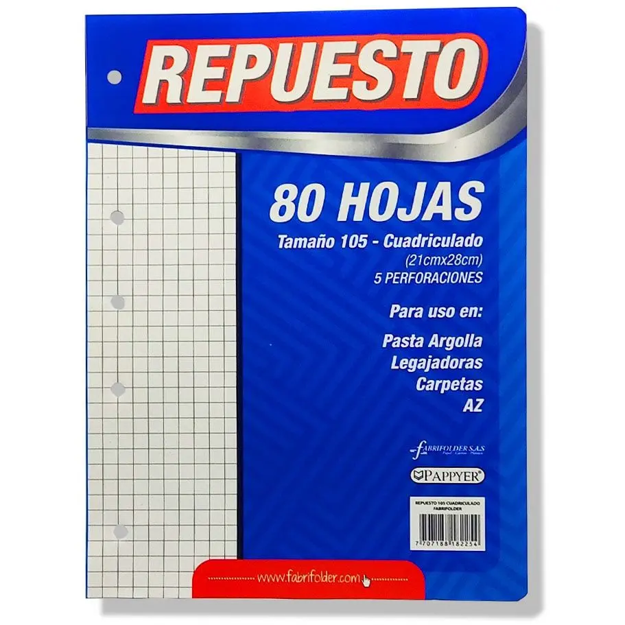 HOJA REPUESTO FOLDER RAYADA Y CUADRICULADA