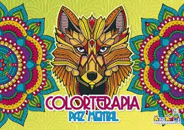 LIBRO MANDALAS VARIADOS