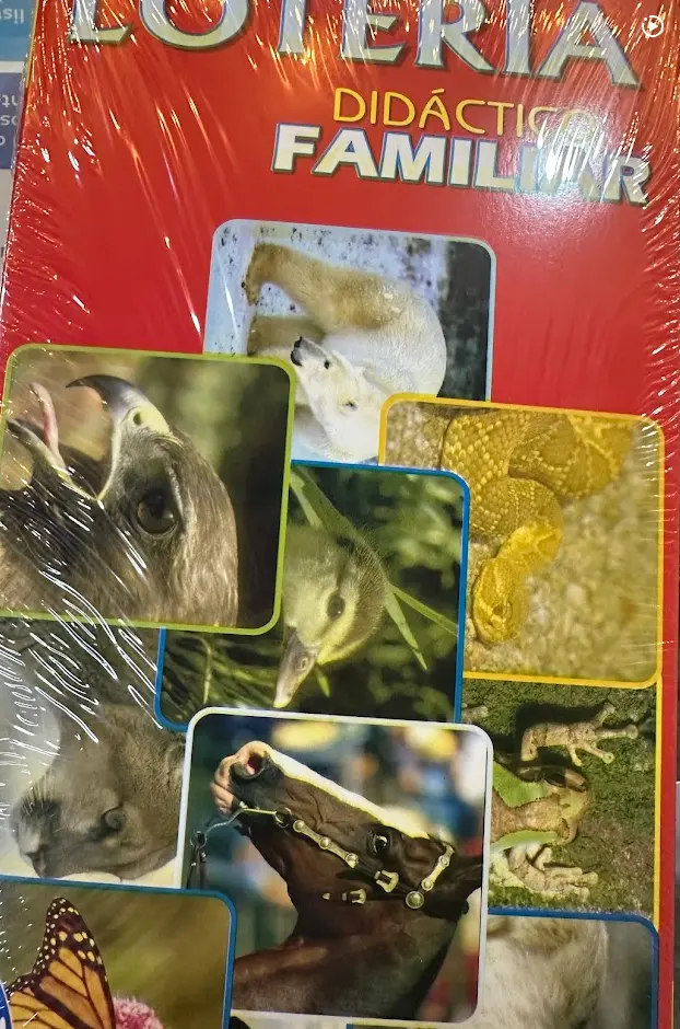 LOTERIA DIDACTICA
