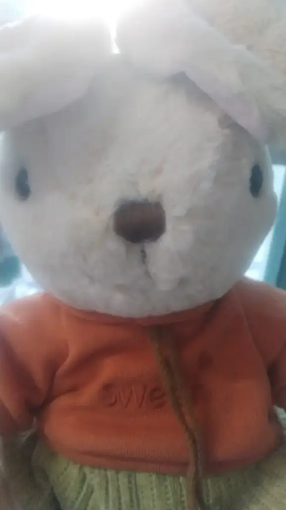 PELUCHE CONEJO GRANDE 