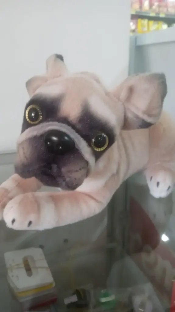 PELUCHE PERRO BULL ACOSTADO 25 CM 