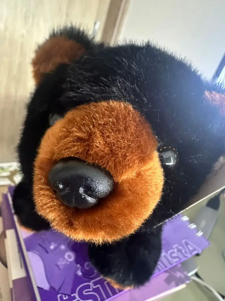 PELUCHE OSO SEVEN COLOR