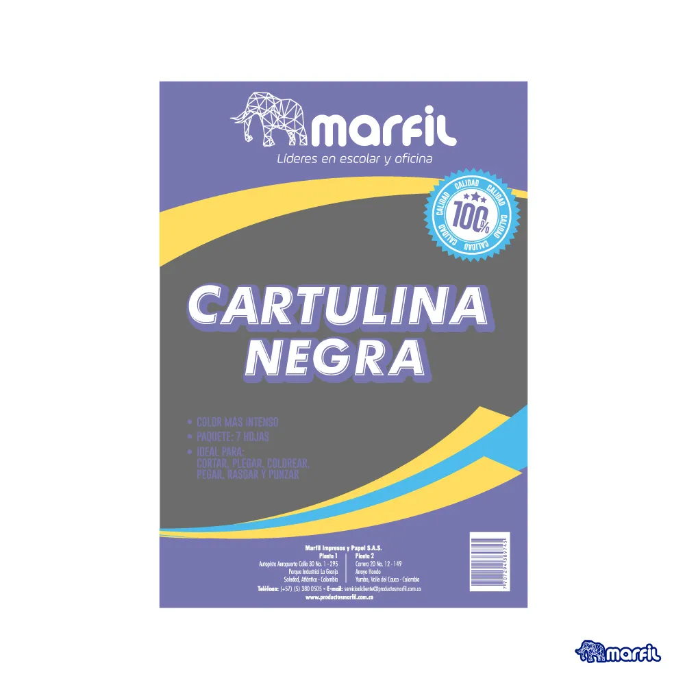 PAQUETE CARTULINA NEGRA X 10