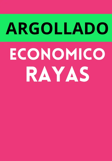 ARGOLLADO RAYAS CUADERNO ECONÓMICO 85H 