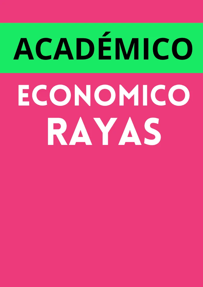 ACADÉMICO ARGOLLADO RAYADO CUADERNO ECONÓMICO 