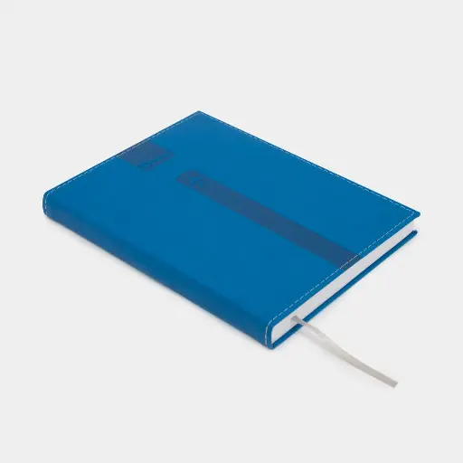 AGENDA 80H 19X13CM