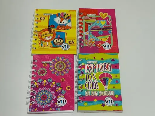 LIBRETA PAPPYER PASTA BLANDA
