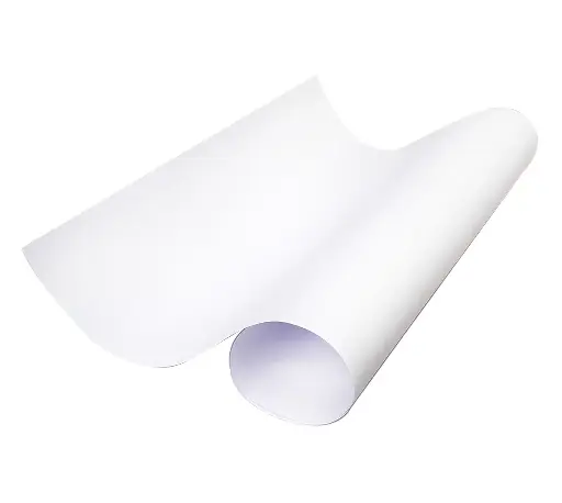 CARTULINA BRISTOL BLANCA